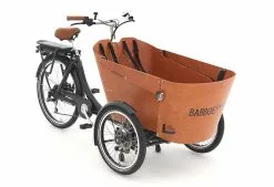 Babboe Carve-E 450Wh